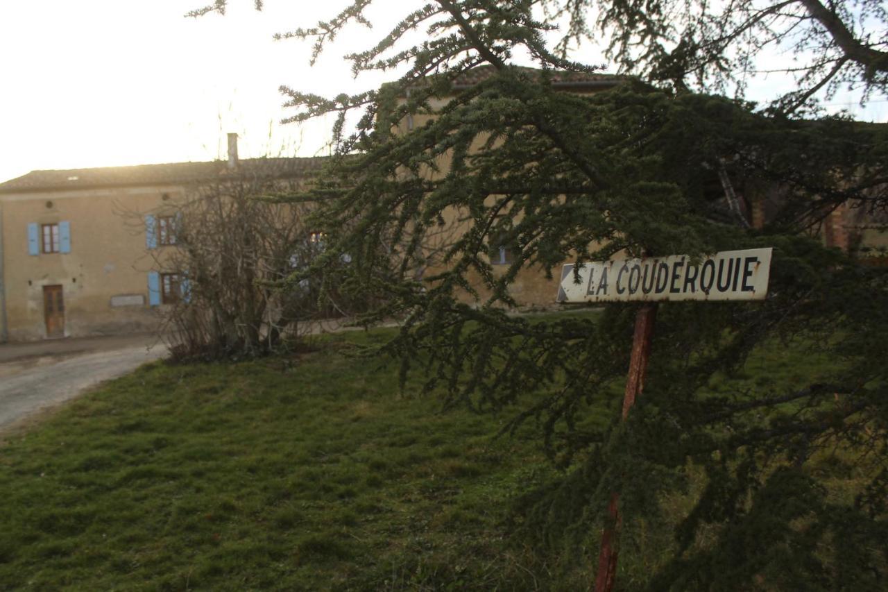 Domaine De La Couderquie Bed & Breakfast Lautrec Bagian luar foto